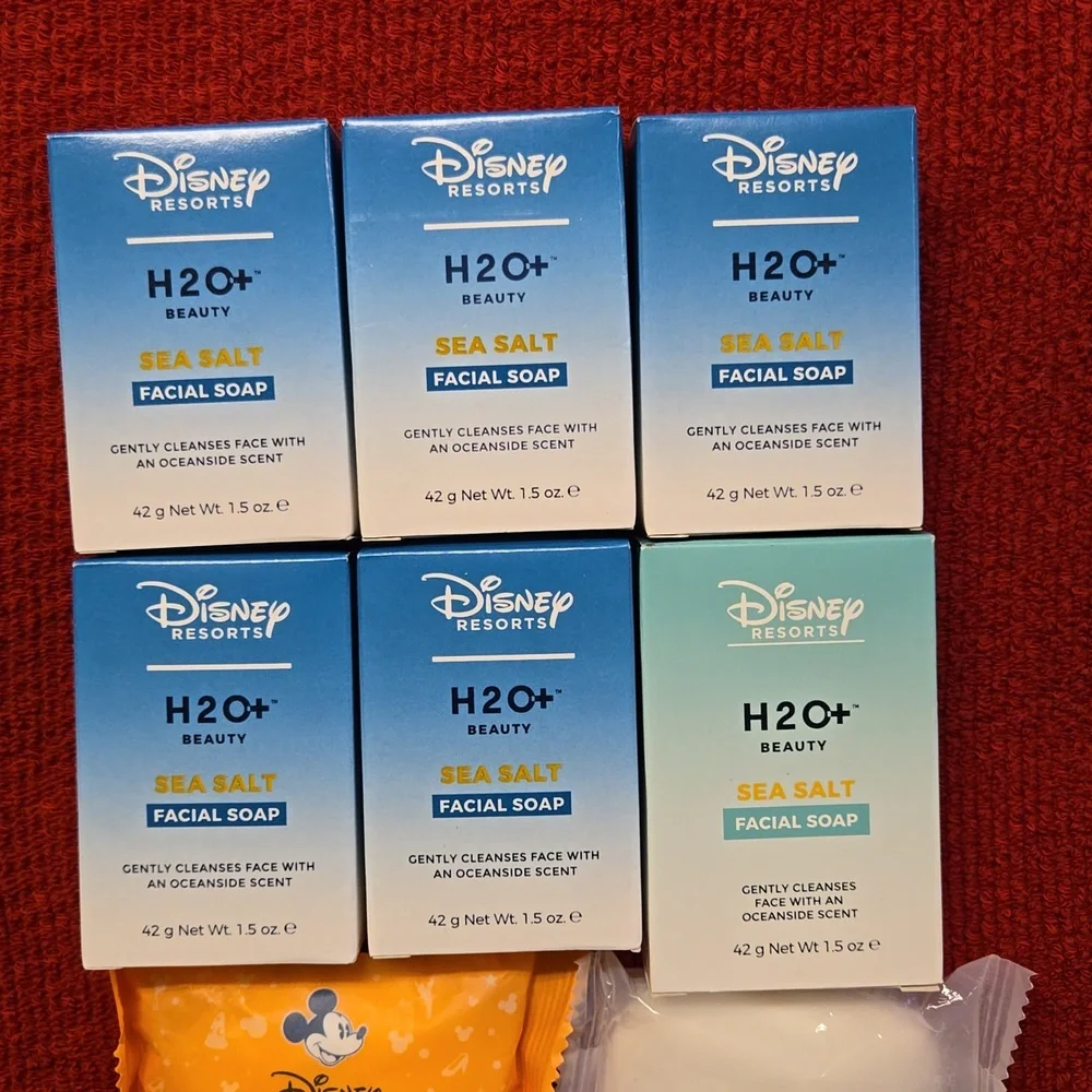 Disney Resorts H20+ facial soap bundle sea salt